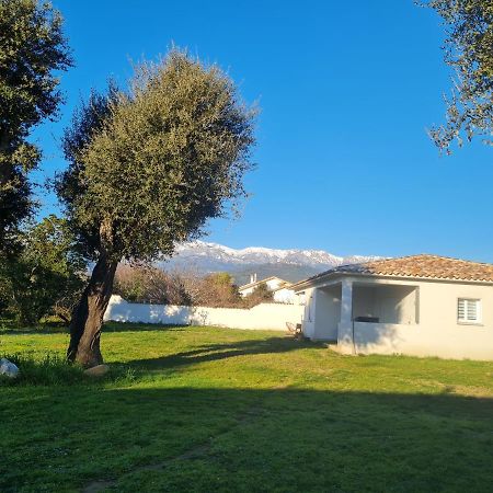 Apartamento Location "Casa Monna" Prunelli-di-Fiumorbo Exterior foto